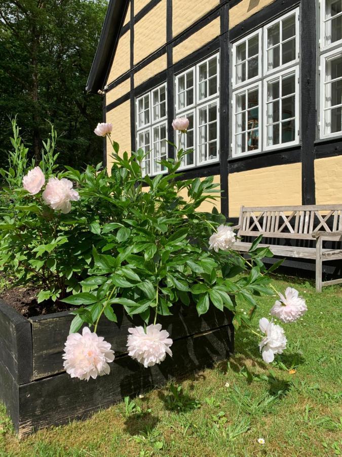 Hotel Egeskoven Viborg Ngoại thất bức ảnh