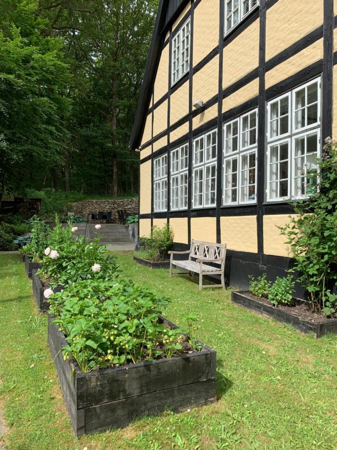 Hotel Egeskoven Viborg Ngoại thất bức ảnh
